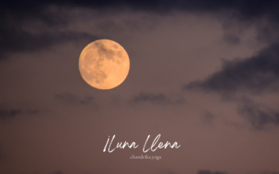 Luna Llena en Virgo