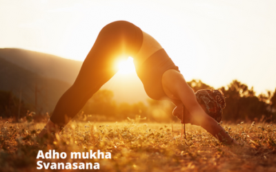 Adho Mukha Svanasana