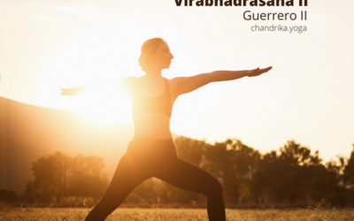 Virabhadrasana II