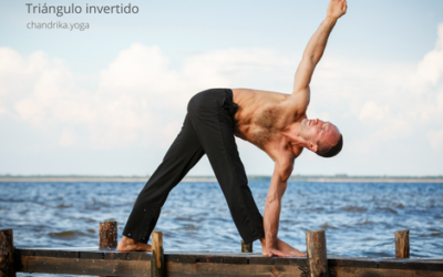 Parivrtta Trikonasana